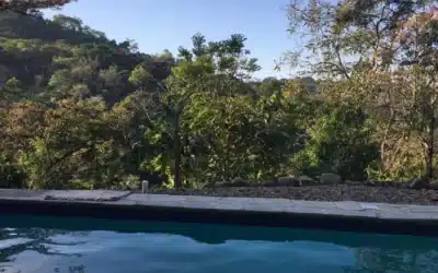 Rising Stress Levels and 3 Solutions – from the Flo Retreat Center in the Jungles of Uvita, Costa Rica