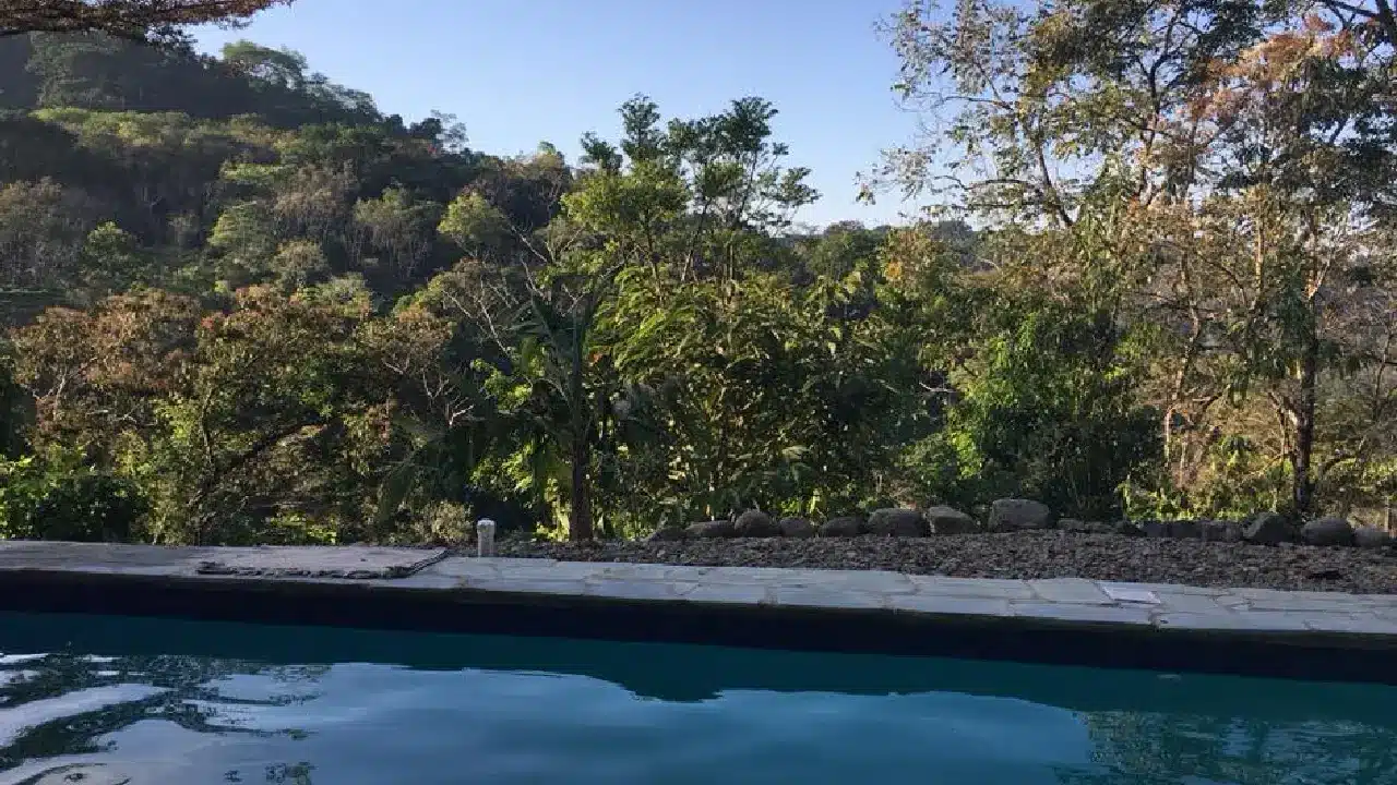 Tranquil Poolside View Overlooking a Lush Forest Tranquil Poolside View Overlooking a Lush Forest