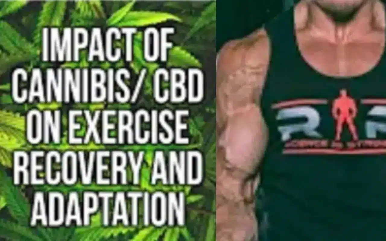 Impact of Cannabis CBD on Exercise Recovery and Adaptation Impact of Cannabis CBD on Exercise Recovery and Adaptation
