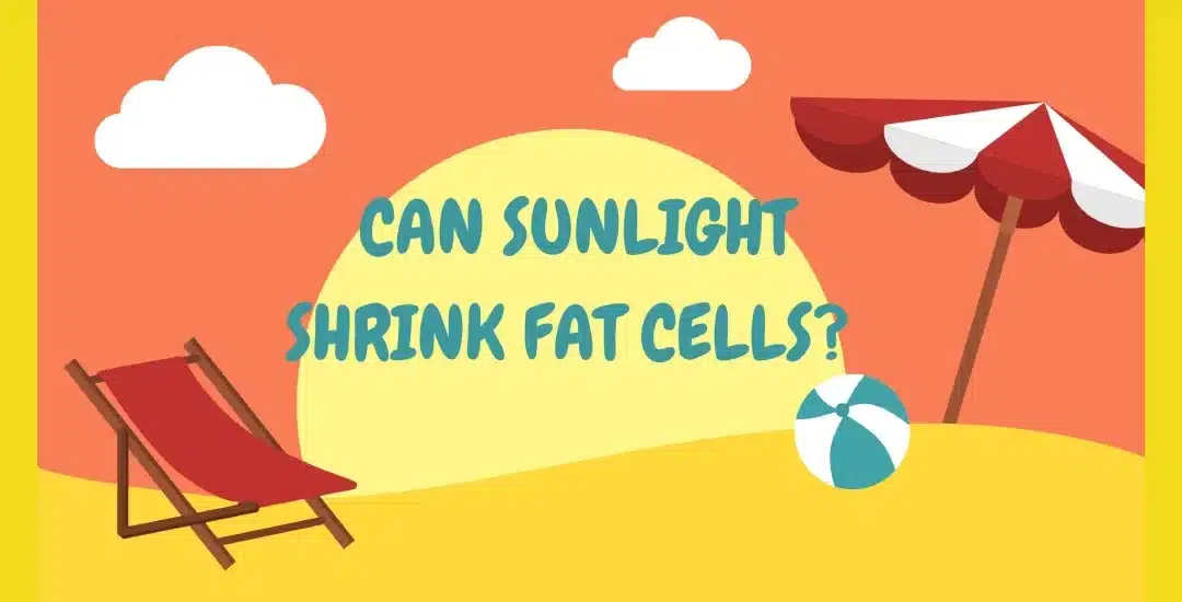 Sunlight to shrink fat cells? Really?