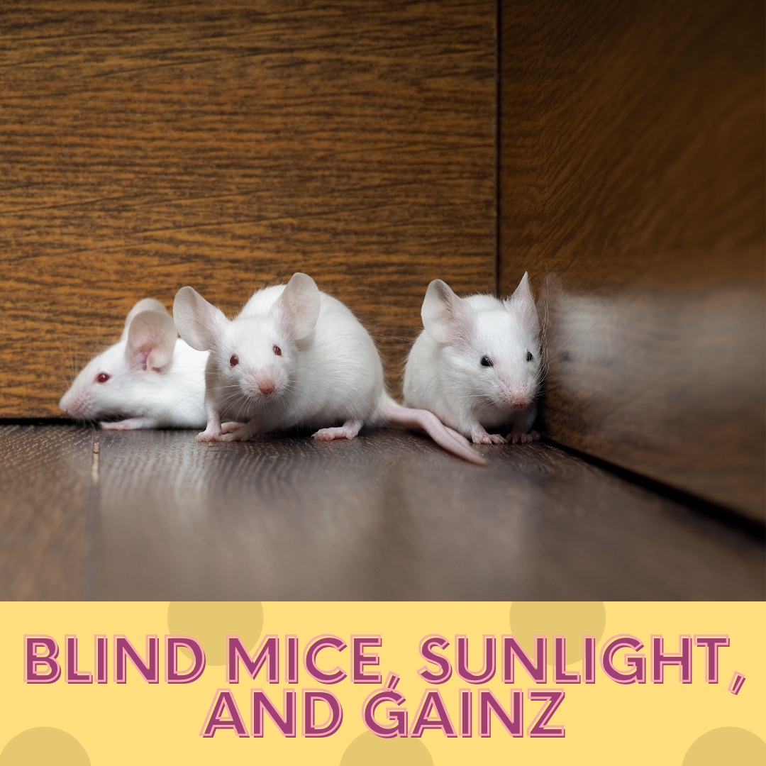 blind mice