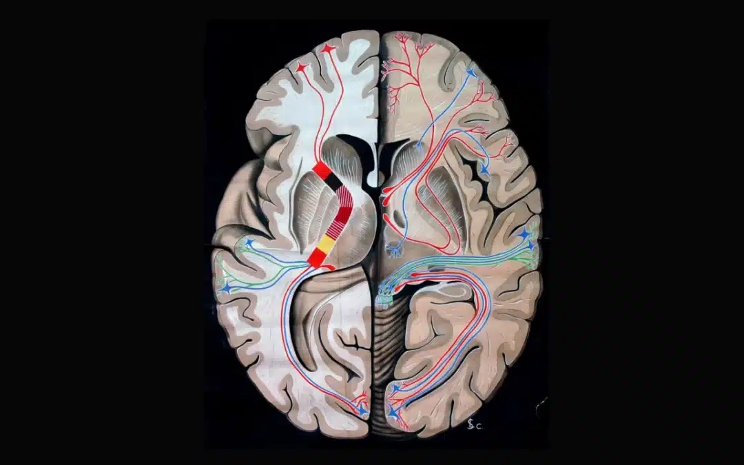 Use Your Prefrontal Cortex to drive gainZ