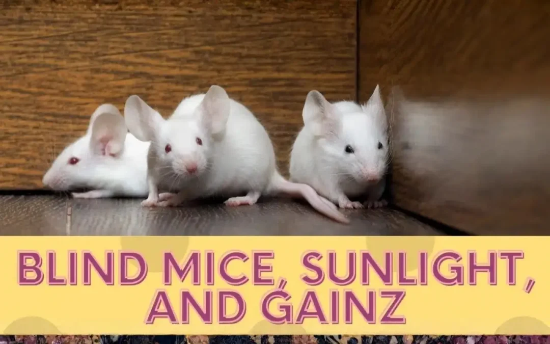 Blind Mice, Sunlight, and GainZ
