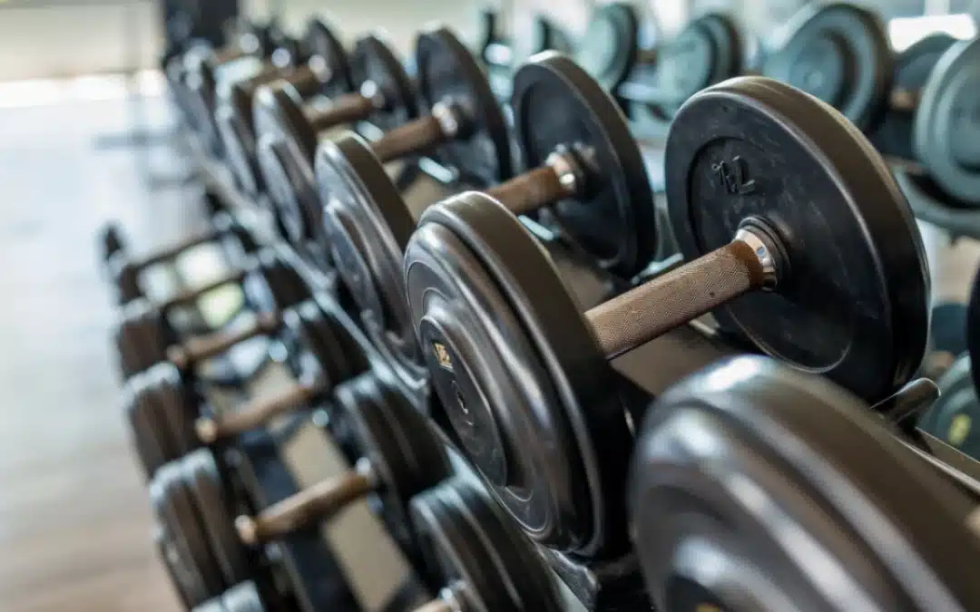 My S4 Model For Returning to the Gym
