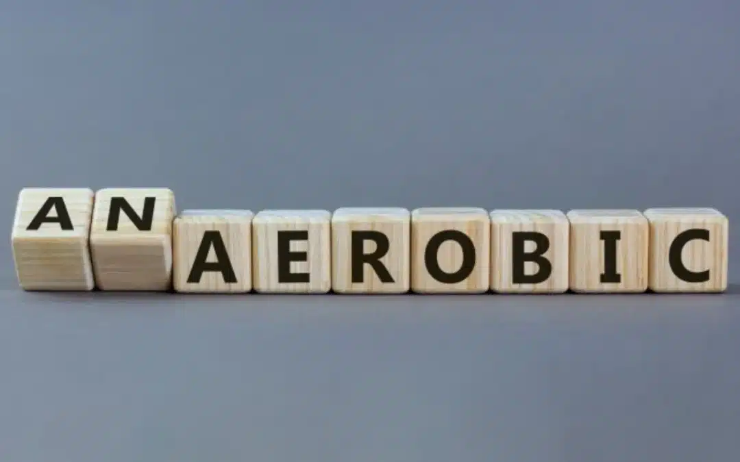 Bioenergetic BS – Is the Body Ever Truly Anaerobic?