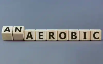 Bioenergetic BS – Is the Body Ever Truly Anaerobic?