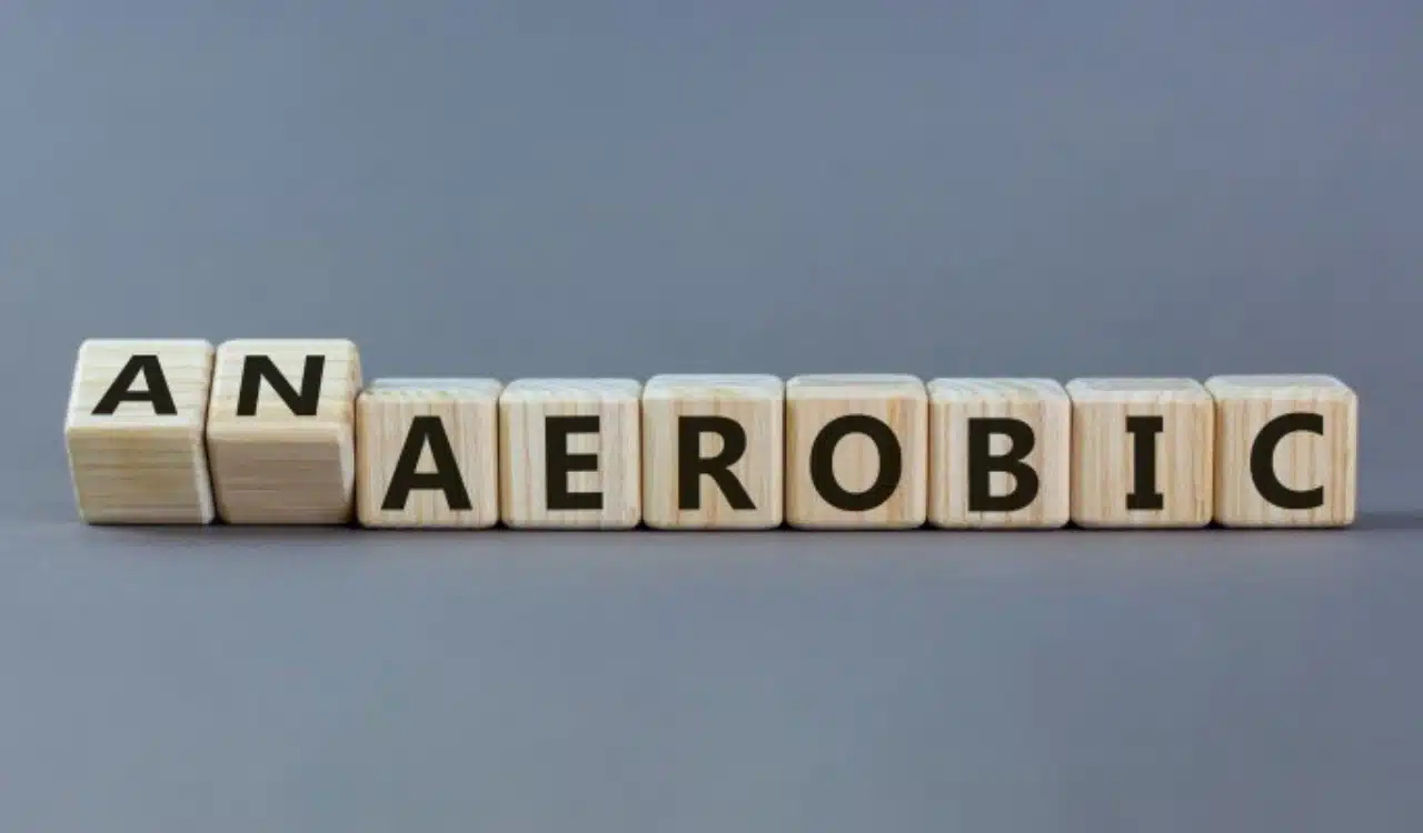 Anaerobic Anaerobic