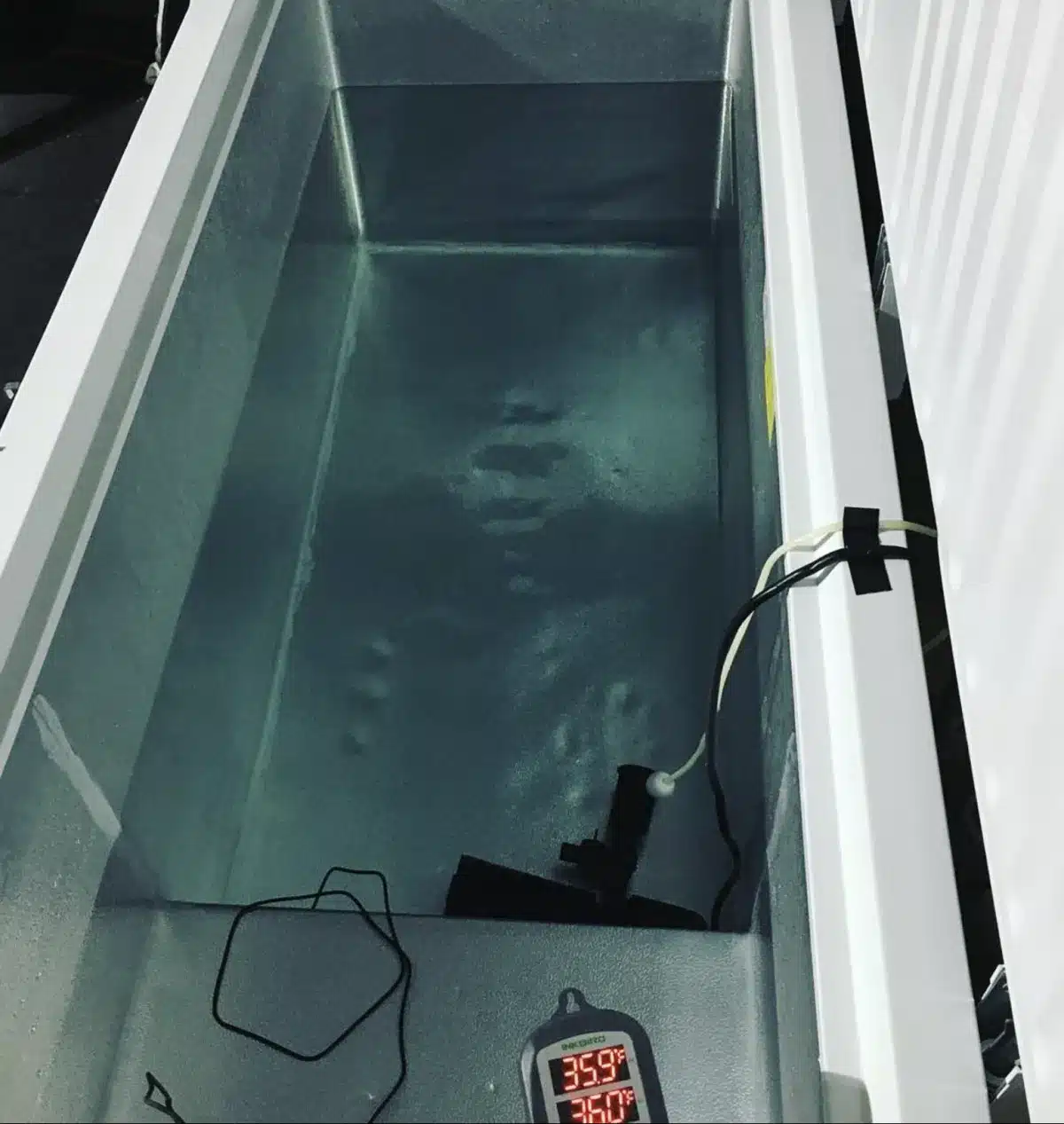 Cold Plunge
