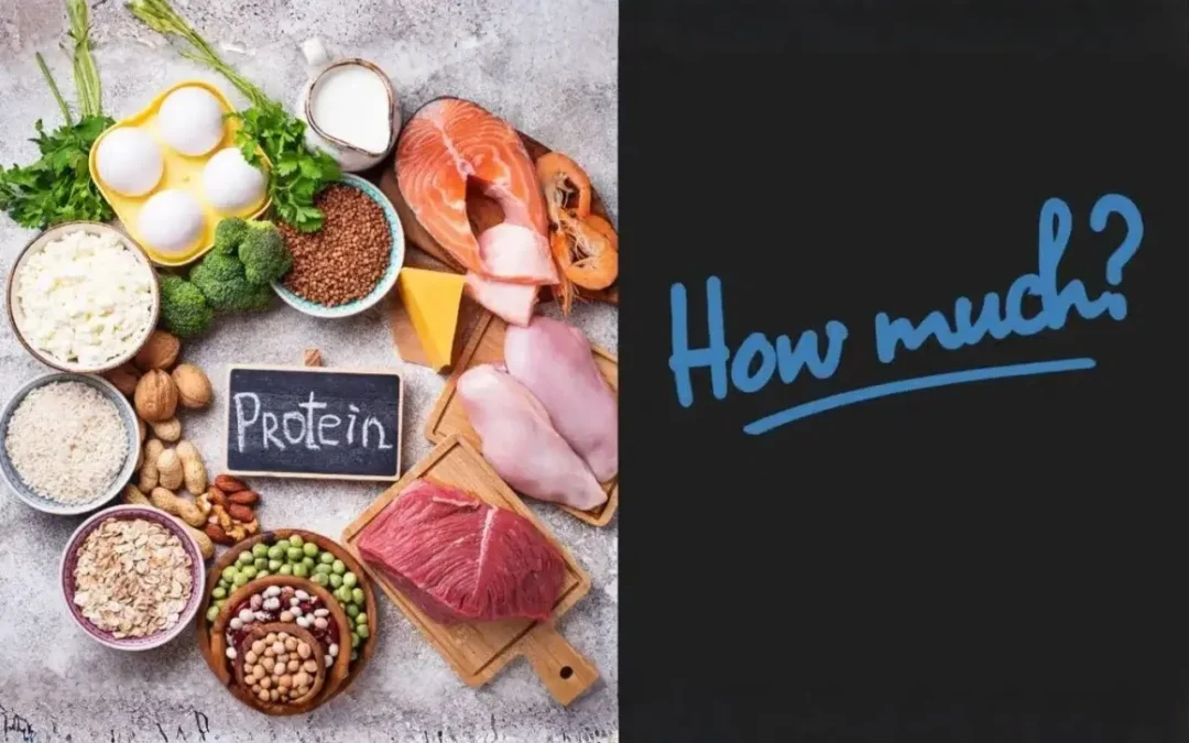 How Much Protein During Dieting?