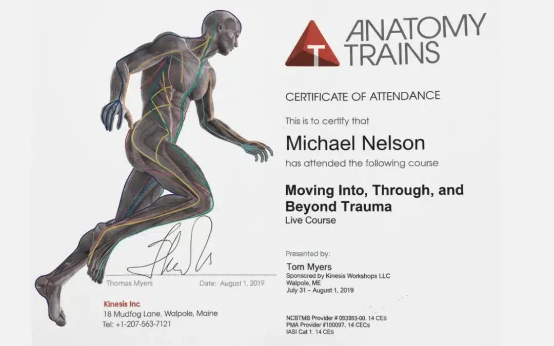 Anatomy Trains Course “Moving Through Trauma” with Tom Myers July 2019: Notes from Mike T Nelson