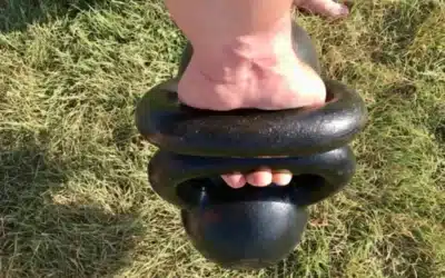 HSP+ mTOR1 + VRD = How To Train Outside While Traveling