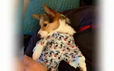 #1 Tip for Lifting after a Poor Night of Sleep