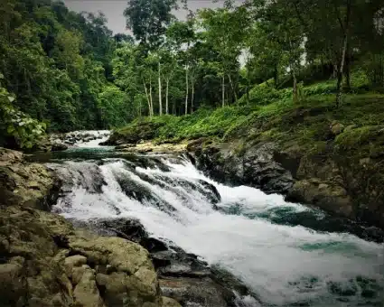 Cascading Waterfall in Tropical Forest