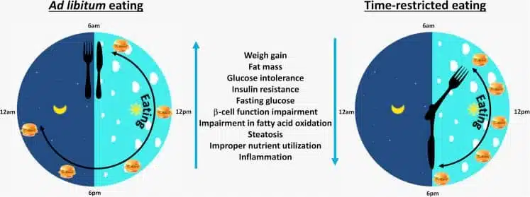 Comparison of Ad Libitum vs. Time Restricted Eating Impact on Metabolic Health
