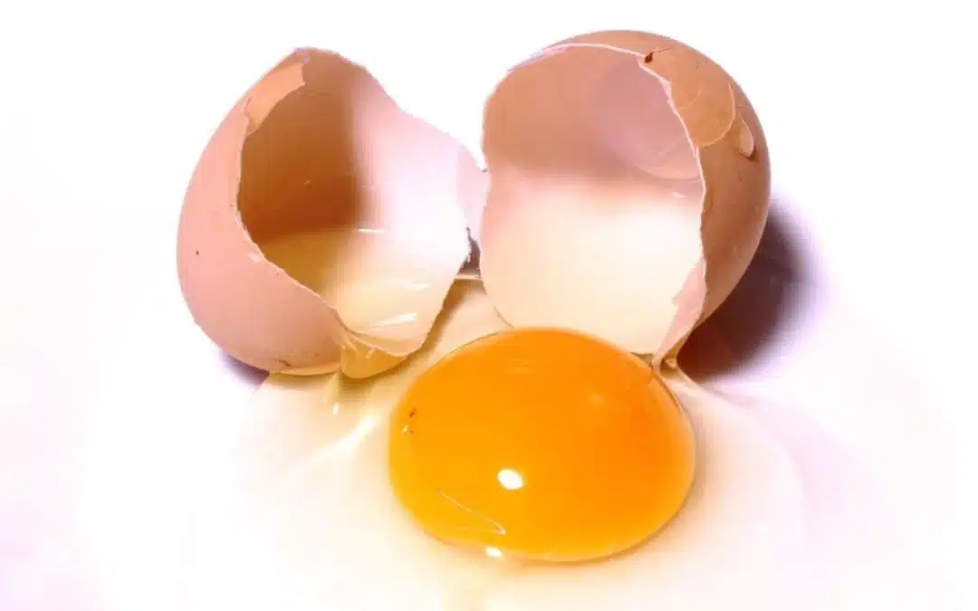 Whole eggs vs egg whites for Muscle Growth