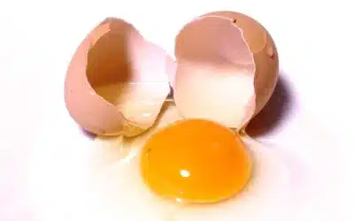 Whole eggs vs egg whites for Muscle Growth