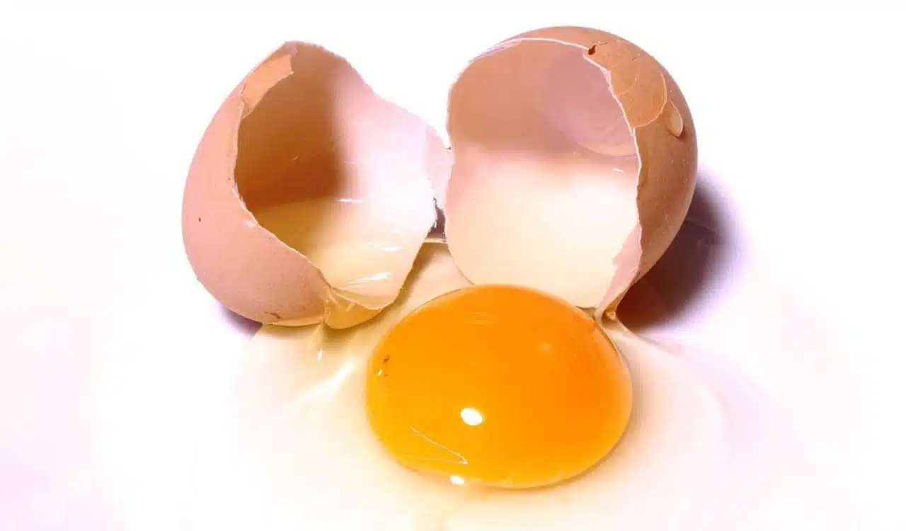 Cracked Egg with Yolk and Shell Cracked Egg with Yolk and Shell