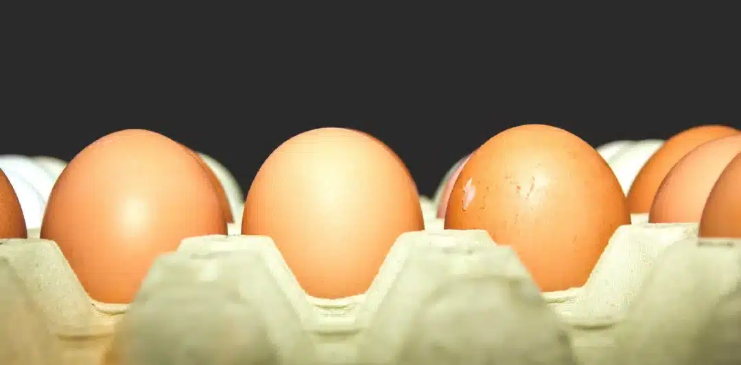 Egg Whites vs Whole Egg