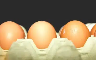 Egg Whites vs Whole Egg