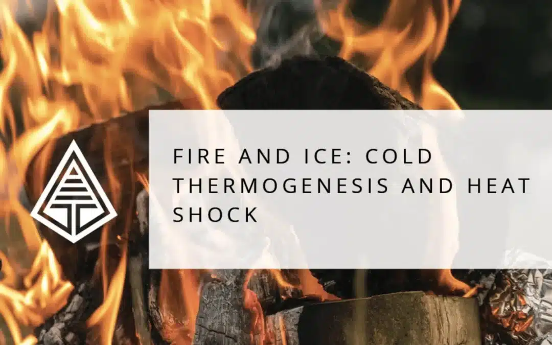 Fire and Ice – How Extremes Help You Reduce Stress