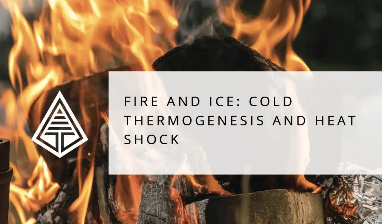 Fire And Ice Cold Thermogenesis And Heat Shock Fire And Ice Cold Thermogenesis And Heat Shock