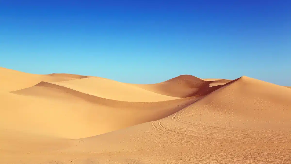 Golden Sand Dunes Under a Clear Blue Sky Golden Sand Dunes Under a Clear Blue Sky
