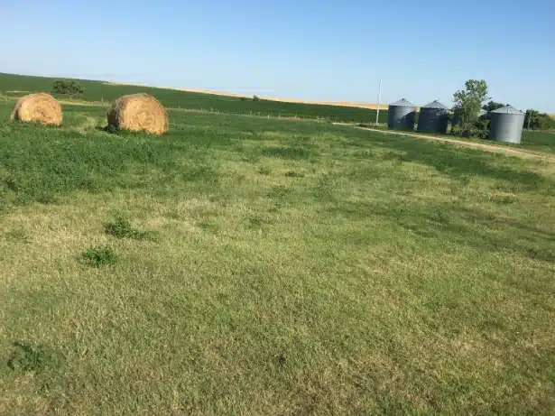 Hay Bales and Grain Silos on a Sunny Farm Field