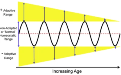 The sneaky effects of aging on your fitness