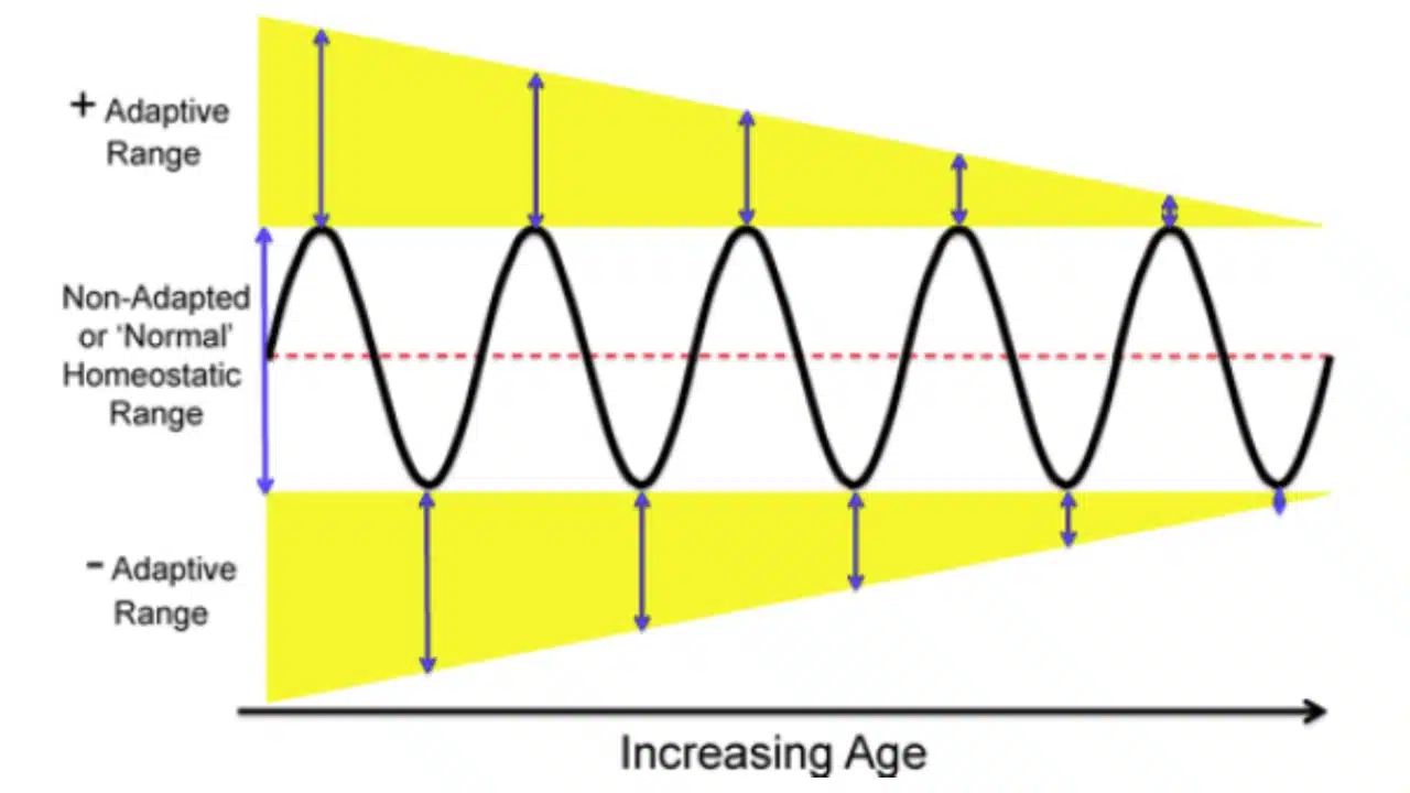 Increasing Age Increasing Age