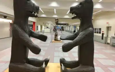 Stress, Travel, and Routine Interruptions: 4 Solutions