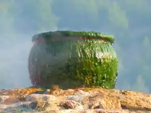 Moss Covered Pot in a Misty Landscape
