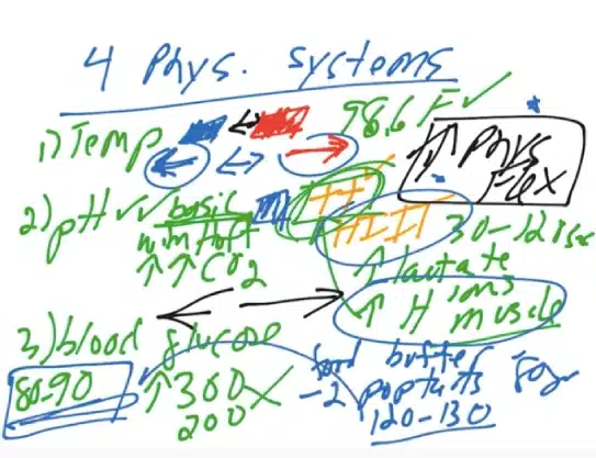 Overview of the 4 Physiological Systems Temperature, pH, Blood Glucose, and Physical Flexibility