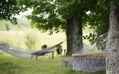 How Sleep Quality Improves Fat Loss