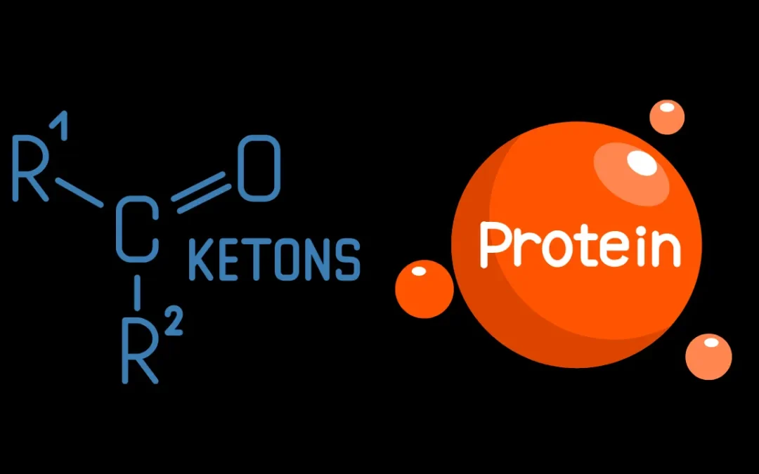 The Muscle Chronicles: Ketones, Protein, and the Savage Pursuit of GainZ