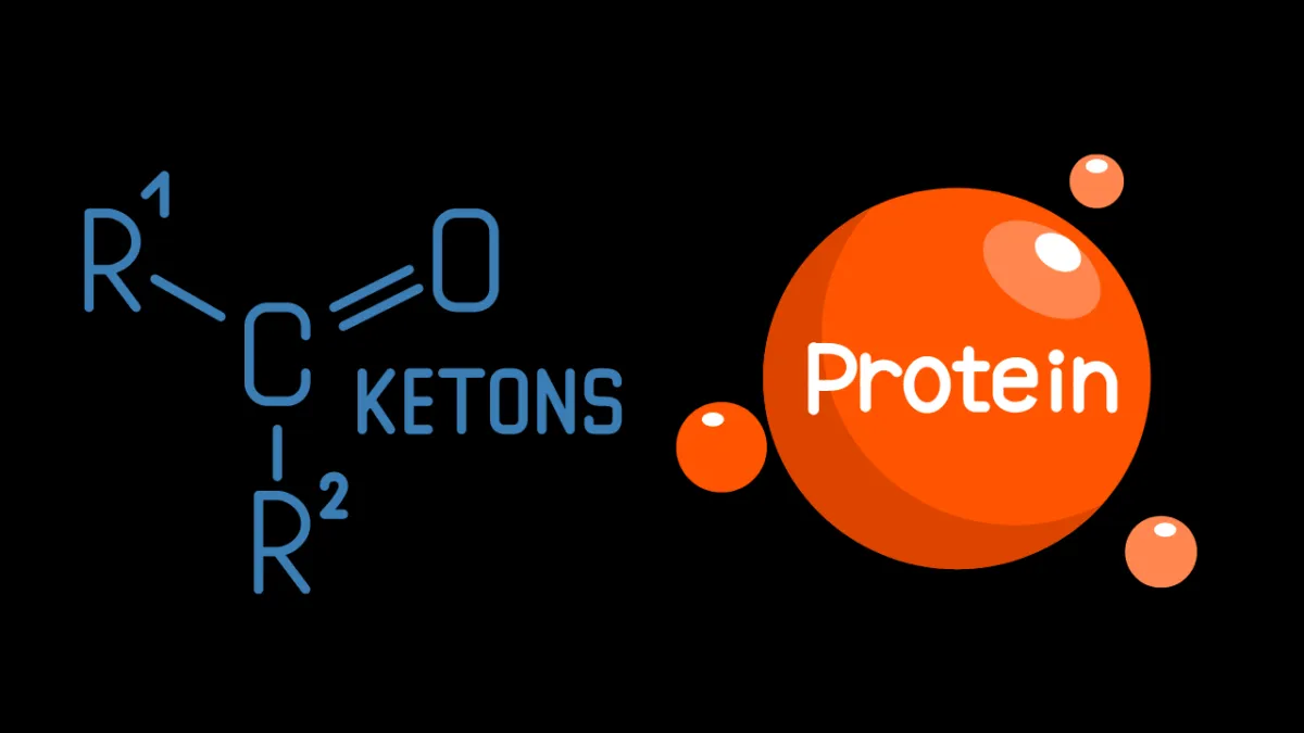Ketones Protein and the Savage P Ketones Protein and the Savage P