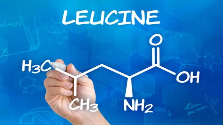 Leucine