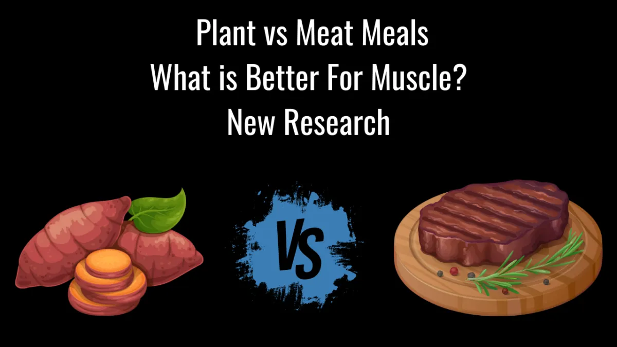 Plant vs Meat Meals Plant vs Meat Meals
