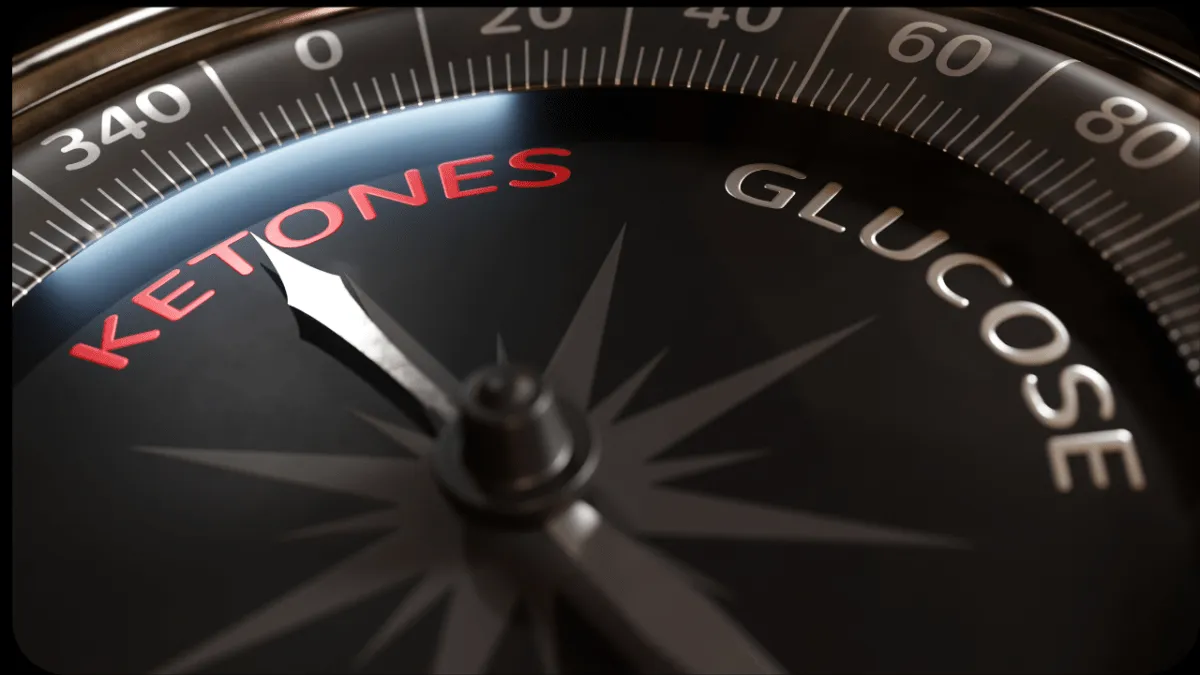 The Great Keto Con The Great Keto Con