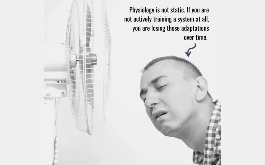 Homeostasis