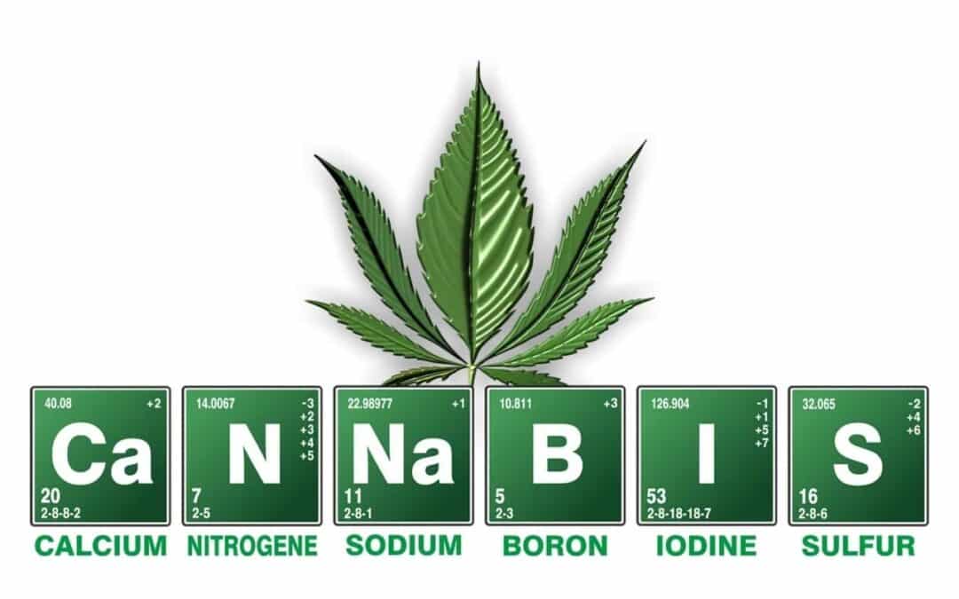 Cannabis and Exercise Performance