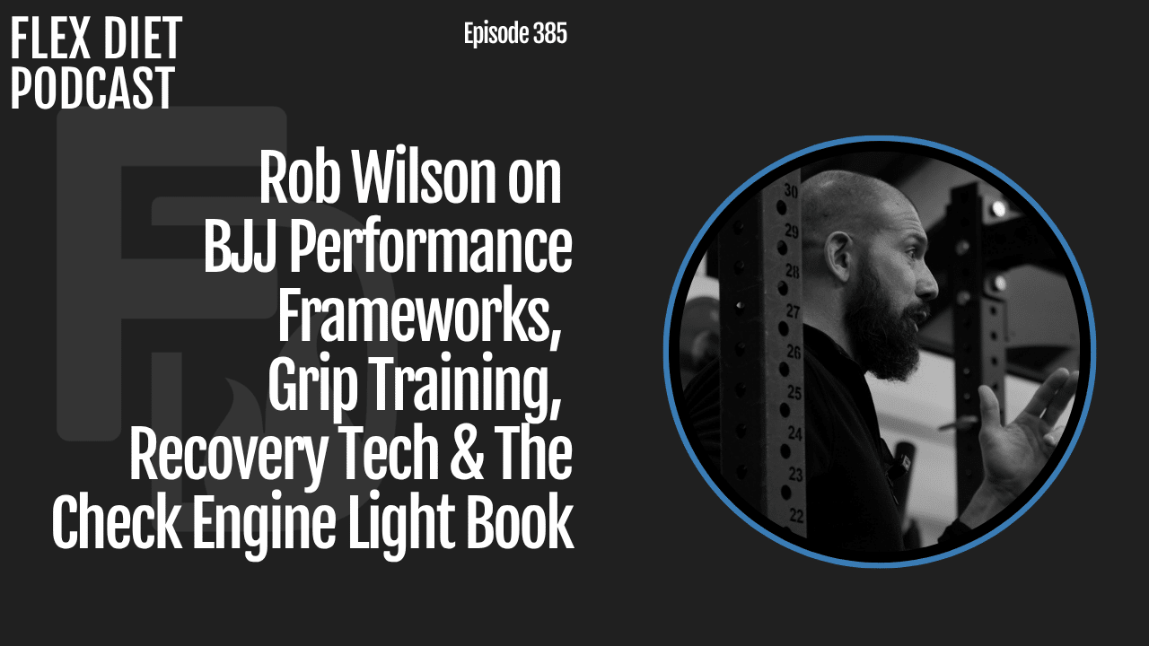 Episode 385: Rob Wilson on BJJ Performance Frameworks, Grip Training ...